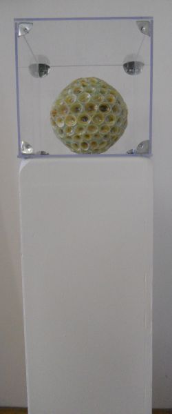 MW 05 (Normale Auflösung)